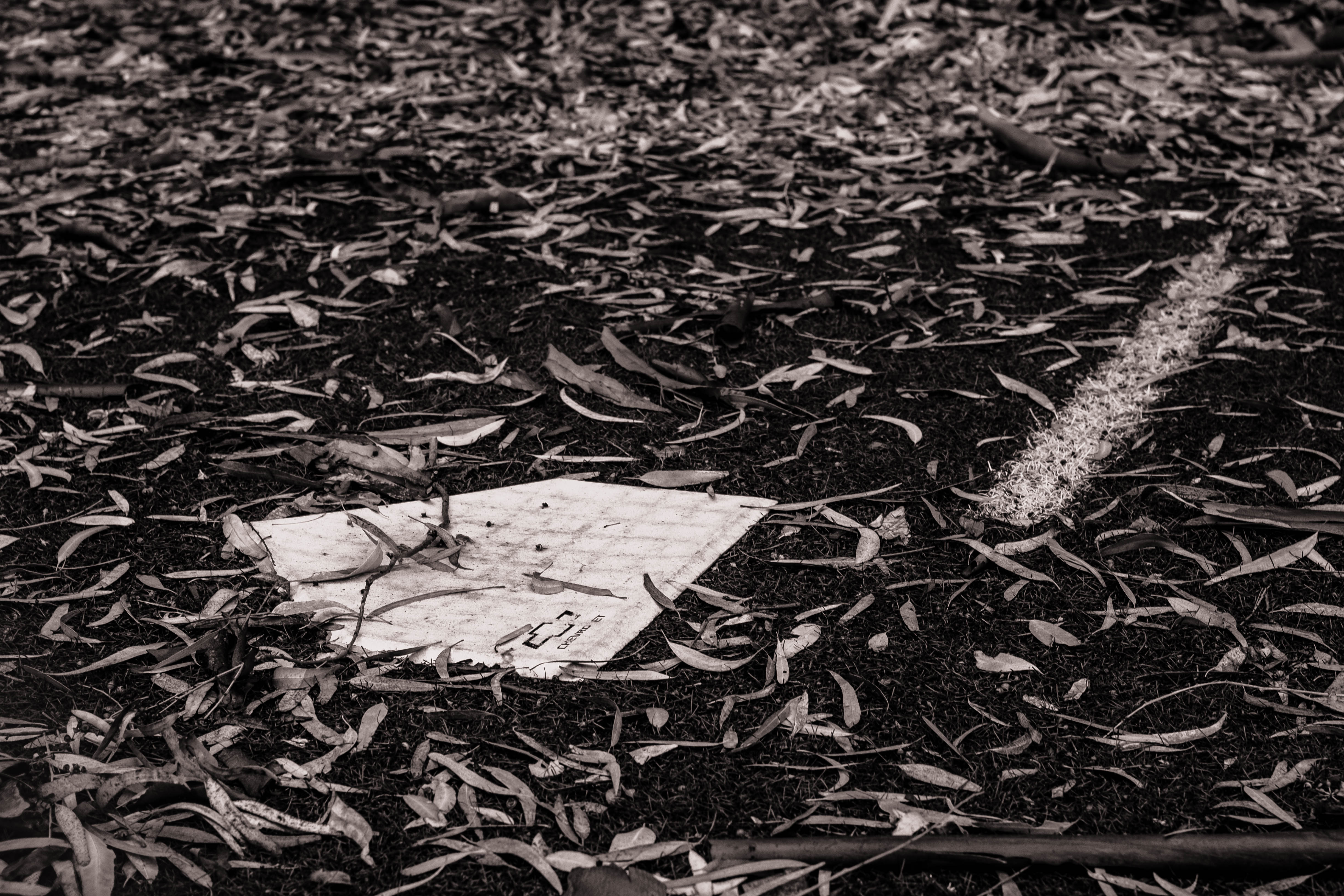 ballpark blues cover photo