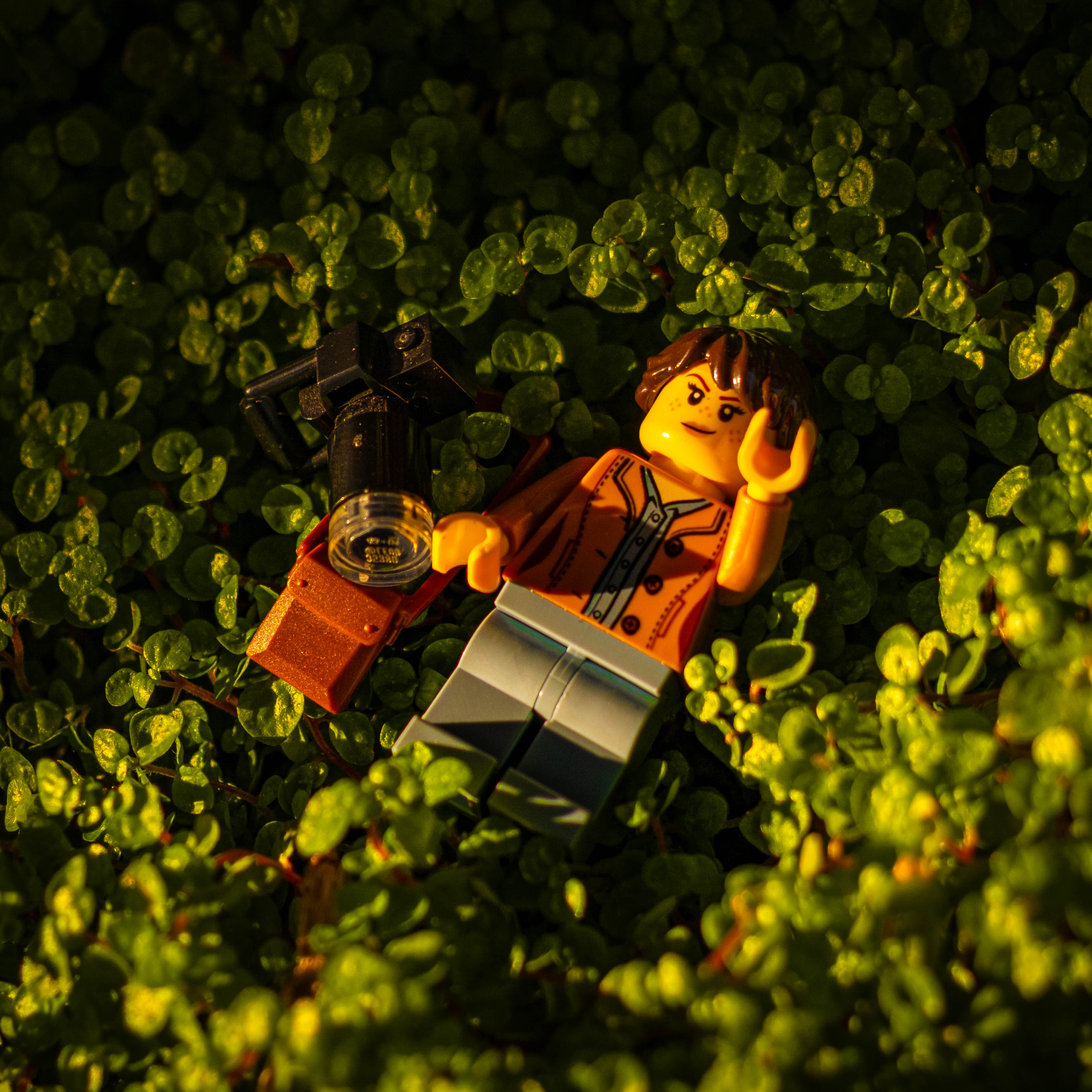 inanimate life cover photo